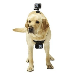 Secure For Sports Camera Mounting Harness for Dogs with Comfortable Fit - Picture 1 of 8