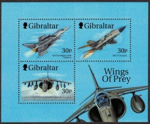 Gibraltar 1999 Military Aircraft, Birds of Prey, Harrier etc Minisheet UNM / MNH - Picture 1 of 1