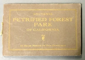 Photo Postcard Album w/ 8 Cards Petrified Forest Park of California c.1919 - Picture 1 of 6