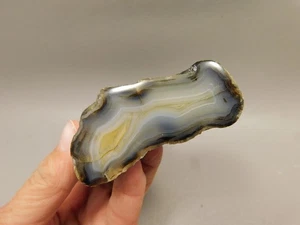 Agate Polished Stone Nodule Collector Rock Mineral #O20 - Picture 1 of 10
