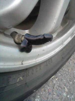 Prank Gift PENIS Valve Stem CAP  qty (4) DICK Wheel Tire - Image 1 of 4