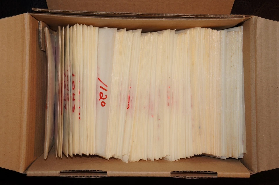 Una pequeña colección de estampillas de Estados Unidos (SC 1033 - 1599) lote de 1000+ estampillas (caja 3) Foto 1 de 4