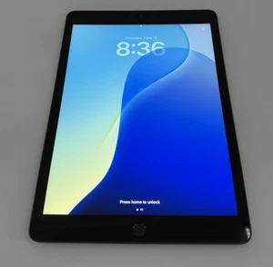 Apple iPad (9th Generation) A2602 64 GB, Wi-Fi only, 10.2 in - Space Gray - Bild 1 von 6