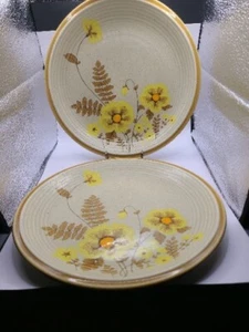 Mikasa dinner plates set of 2. Natures Song Fernflower. EUC. Vtg - Picture 1 of 4