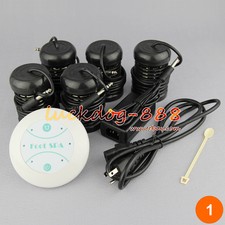 Simple Detox Ion Foot Bath Spa Cell Ionic Cleanse Machine + 5 Arrays Health Life