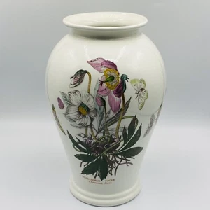 Portmeirion Botanic Garden Christmas Rose Large Canton Vase 10-in H Butterflies - Picture 1 of 12