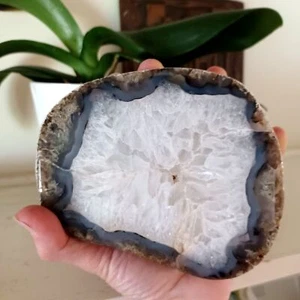 Montana Treasure State Agata Slab enorme esemplare da esposizione lucido 1 libbra 9 oz - Foto 1 di 10