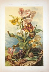 13113. Dekorationsplakat. Wandzimmer Heimkunst Vintage Design. Blumenillustration - Bild 1 von 1