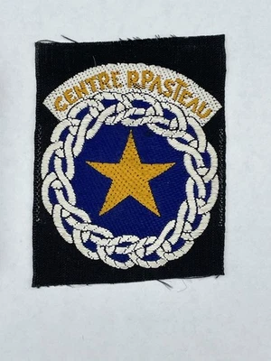 Insignes Écussons Tissus d époque Militaire, jeunesse et montagne Chamonix - Photo 1/3