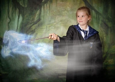 Harry Potter - Capa y corbata de túnica Ravenclaw - talla M Foto 1 de 2