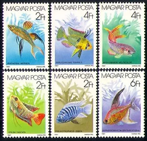 Hungary 1987 Tropical Fish/Nature/Marine/Cichlids/Tetra 6v set (n29398) - Picture 1 of 1
