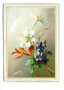 Victorian Trade Card QUINTANO COTERIE Learn to play MANDOLIN for Ladies music - Picture 1 of 2