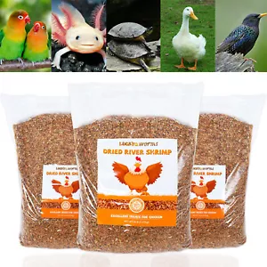 Lot Dried River Shrimp For Fish Tropicals Koi & Pond Fish Turtles Aquatic Foods - Picture 1 of 20