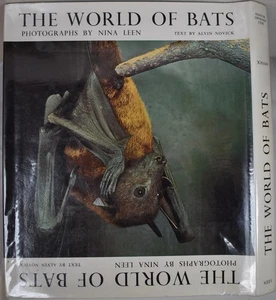 THE WORLD OF BATS Photographs by NINA LEEN, 1969. Natural History Photography - Picture 1 of 7