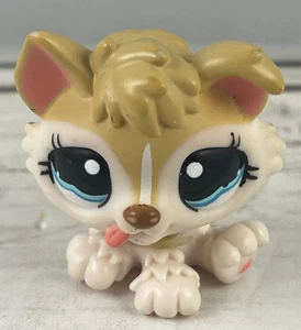 Littlest Pet Shop Tan Husky Puppy LPS #1013 Hasbro - Picture 1 of 8