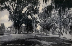 Palatka, FL Riverside 1911 Putnam County Florida Postkarte - Bild 1 von 2