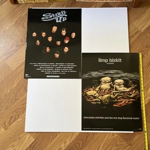 Strait Up Y2K Limp Bizkit Starfish Hot Dog By Metal SOAD VTG Posters! Korn - Picture 1 of 14