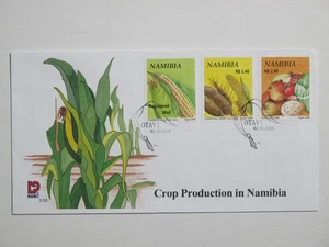 Südwestafrika SWA Namibia Brief cover FDC 2005 Nutzpflanzen   - Picture 1 of 2