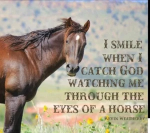 Horse refrigerator magnet 3 1/2 X 3 1/2 " - Picture 1 of 1