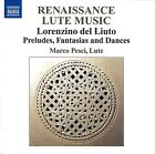 Renaissance Lute Music Lorenzo Del Liuto
