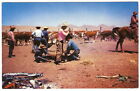 1950s COWBOYS Branding CATTLE Round Up Photo Postcard COLORADO SPRINGS 205 brown