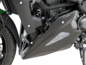 Benelli 752S 2020-2022 sartén aspecto de carbono con malla plateada Powerbronze - Imagen 1 de 3