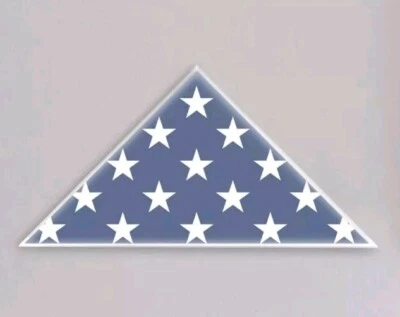 Vitrina Bandera Acrílico Transparente Caja de Sombras Triángulo Soporte Mesa Montada en la Pared Foto 1 de 3