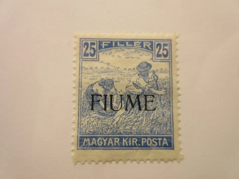 FIUME Scott 10 MINT NEVER HINGED Cat $30 Cover