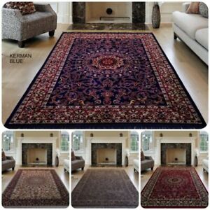 Oriental Large Area Rugs Soft Light Weight Carpet Home Decor Area Rug Floor Mat