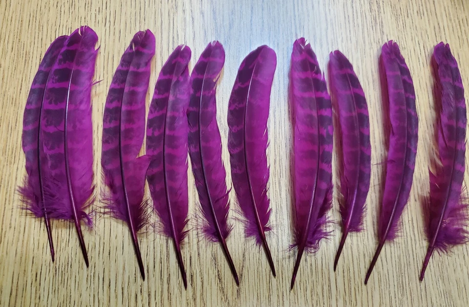 Lot of 10 Dyed Domestic Ringneck Pheasant 5" Wing Quill Feather - Image 1 of 1