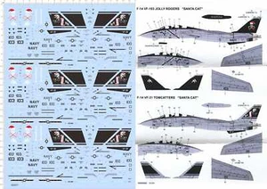 Calcomanía de tobogán acuático modelo de luchador 1/72 USAF F-14B F-14D TOMCAT VF-103 31 SANTA CAT - Imagen 1 de 1