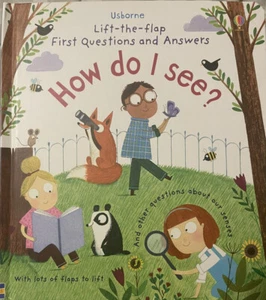 Usborne How Do I See Lift-the-flap First Questions And Answers Hardcover NEW - Bild 1 von 5
