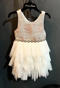 Gorgeous American Princess Dress size 4 years - Perfect Dress For Easter - Picture 1 of 2