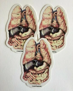 Supreme Guts Sticker 100% Authentic FW18 Season - Picture 1 of 2