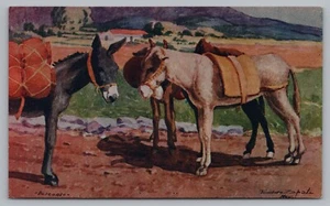 Postcard Descanso y Meditacion Rest & Meditation Burros Pack Mules Donkeys - Picture 1 of 2