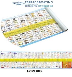 Australian Fish ID Maxi Ruler/Brag Mat With Detailed Fish Illustrations
