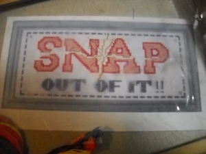 Snap Out Of It Counted Cross Stitch Kit von Design Works #276 - Bild 1 von 3