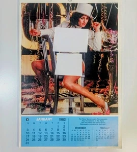 Vintage 1982 Playboy Playmate Calendar Complete Jan-Dec Excellent Cond Free Ship - Imagen 1 de 3