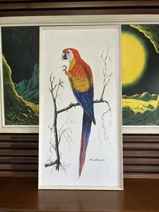 HOWARD DEVONALD ORIGINAL SIGNIERTES ÖLGEMÄLDE SCHARLACHARROTER ARA PAPAGEI Mid Century - Bild 1 von 12