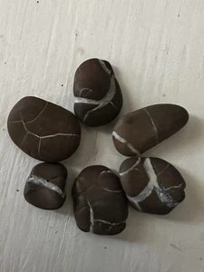 Lote Piedras Relámpago Cristal Suave Michigan Piedras Curativas Septarianas Lote LS15 - Imagen 1 de 2