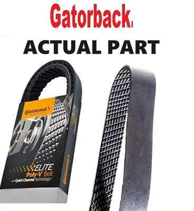 NEW Serpentine Belt Poly-V The Quiet Belt Gatorback CONTINENTAL ELITE 4081024 - Bild 1 von 3