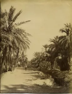 Algerie Biskra route de Touggourt ancienne Photo Studio 1890 - Picture 1 of 3