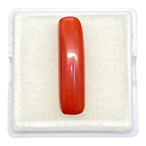 5.80 Cts Natural Italian Coral Untreated Orange Red Astrological Grade Gemstone - Picture 1 of 22
