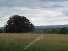 Photo 6x4 View across Cuckfield Park Ansty/TQ2923 The South Downs in the c2009