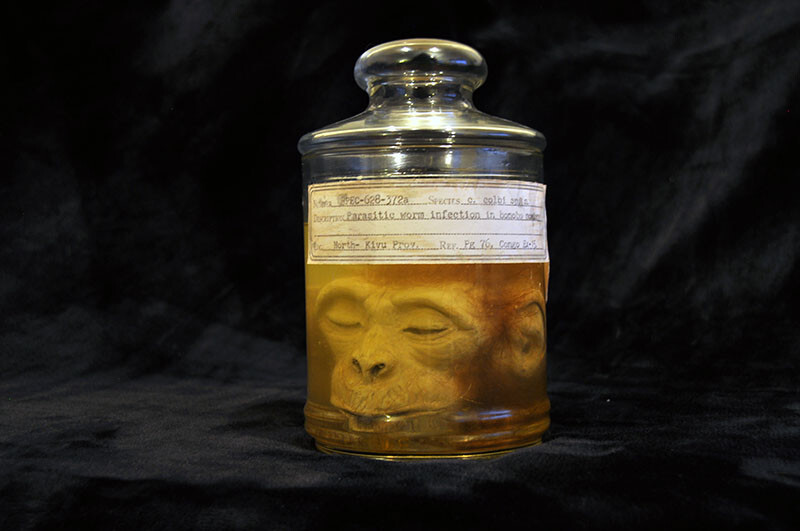 Really Weird Stuff for sale eBay