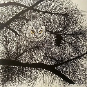 PARNALL, RICHARDSON'S OWL, S/N LTD. ED. #1204 1972 22x17" NEW MINT, w/CAT,SLEEVE - Picture 1 of 12