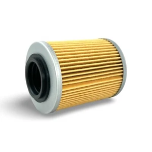 CFMoto CForce UForce ZForce 400 500 600 800 950 1000 Oil Filter 0800-011300-0004 - Bild 1 von 9