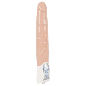 Vibrator realistisch Klitoris Stimulator Vibration Stoßfunktion Push it stark - Bild 1 von 4