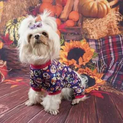 Day of the Dead Dog Costume Dia De Los Muertos Pet Cat Halloween Skull Bones New - Image 1 of 4