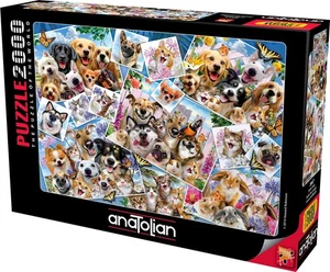 Puzzle anatolico - Selfie Pet Collage, puzzle 2000 pezzi, #3947 (ANA3947) - Foto 1 di 8